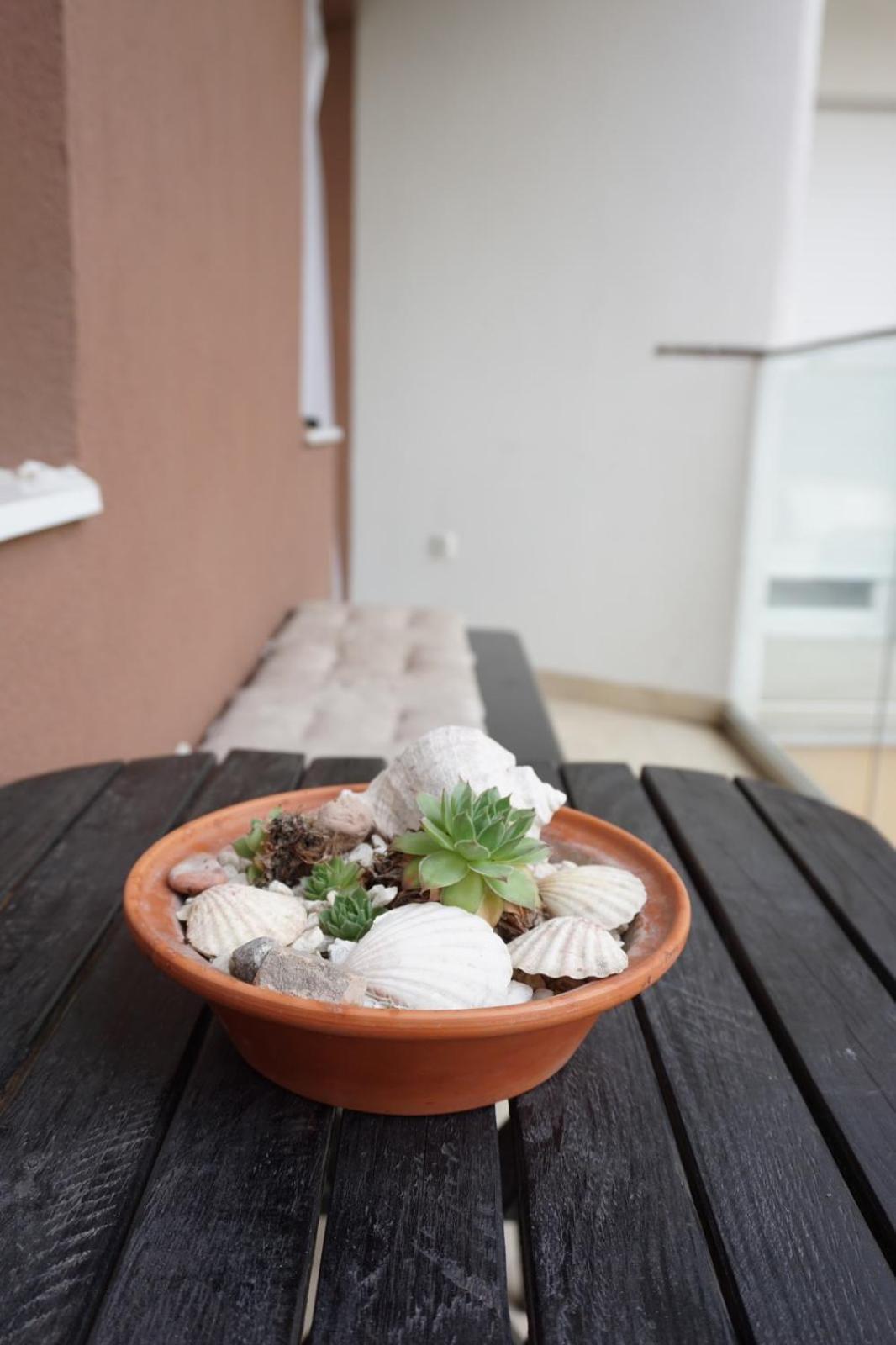 Apartman_Krstic_1 Subotica Exterior photo